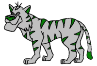 Celtic Tiger