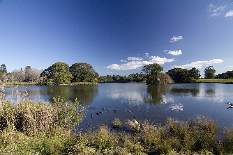 File:Centennial Park NSW 2021, Australia - panoramio (6).jpg