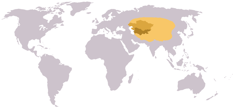 Dosiero:Central Asia world region2.png