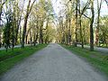 Vignette pour Parc Central (Cluj-Napoca)