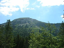 Munte care domină o pădure de conifere.