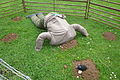 A homemade scarecrow, seen outside a house in Chillerton for the Chillerton & Gatcombe Scarecrow Festival 2013, on the Isle of Wight.