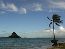 Mokoliʻi, a prominent island at the northern edge of Kāneʻohe Bay