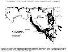 Map portrays Chinle Formation exposures in Arizona with localities labeled Chinle Formation exposures in Arizona.jpg