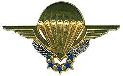 French Commando Parachute Group Brevet of Chuteur Opérationnel