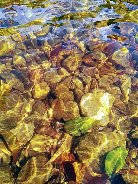 File:Clear water - Sari Ella.jpg