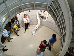 The Women's Art Collection Curator Harriet Loffler describing Monica Sjoo's Earth is our Mother Cmglee Cambridge New Hall Earth is our Mother.jpg