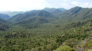 Coronado National Forest Managed forest in southern Arizona and New Mexico