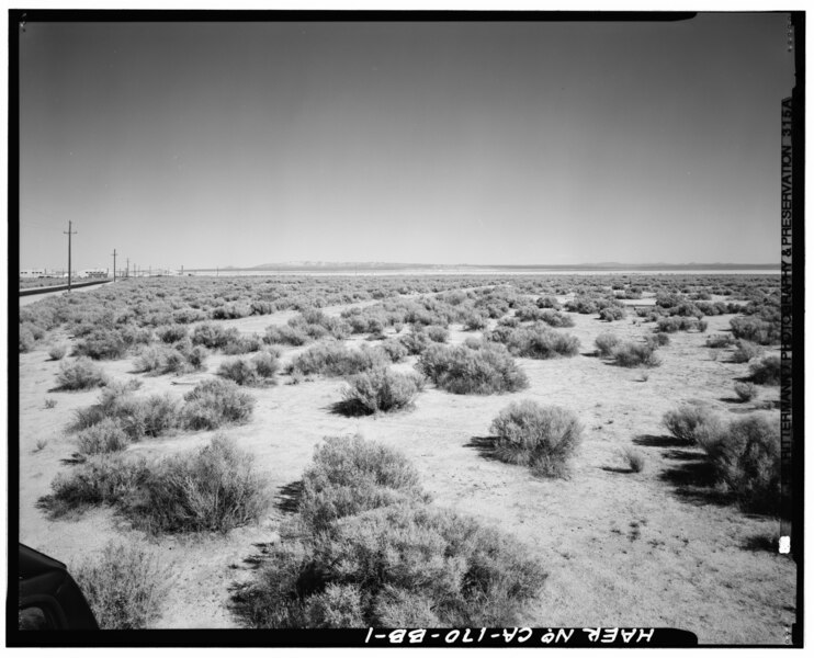 File:Credit PSR. View looks east (94°) across foundations of Officers' Quarters "B", which had an X-shaped plan. North Base hangars appear in distance at the end HAER CAL,15-BORON.V,2BB-1.tif