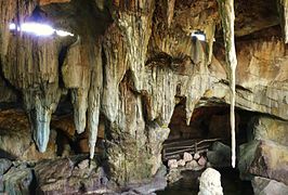 Cueva-bioparc-valencia-2012.JPG