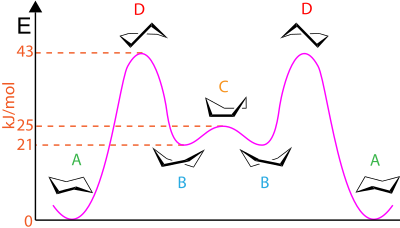 Konformacje pierścienia cykloheksanu w zależności od energii (oś pionowa), A – krzesło, B – skręcona łódka, C – łódka, D – pół-krzesło