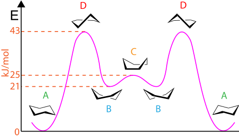 The cyclohexane conformations in relation to the potential energy at each conformation.