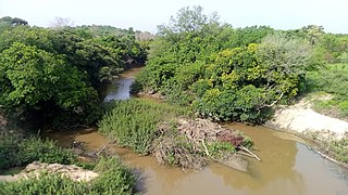 Conheça La Sota e seus magníficos bosques classificados em image.jpg