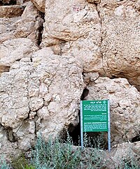 PEF rock: Mark on boulder used by the PEF as a reference level (datum) for surveying the Dead Sea in the beginning of the 20th century DeadSeaLevelPEF.JPG