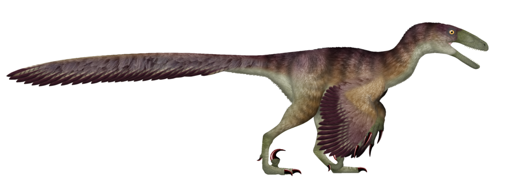 Deinonychus - Wikipedia