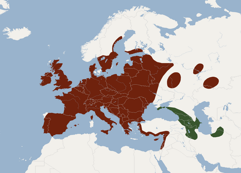 File:Distribution of Myotis nattereri.png