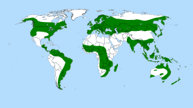 Distribution of the genus Drosera shown in green Drosera distribution.svg