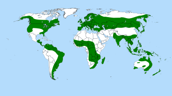 Drosera world distribution