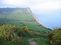 Dunscombe Cliff - geograph.org.uk - 6856.jpg