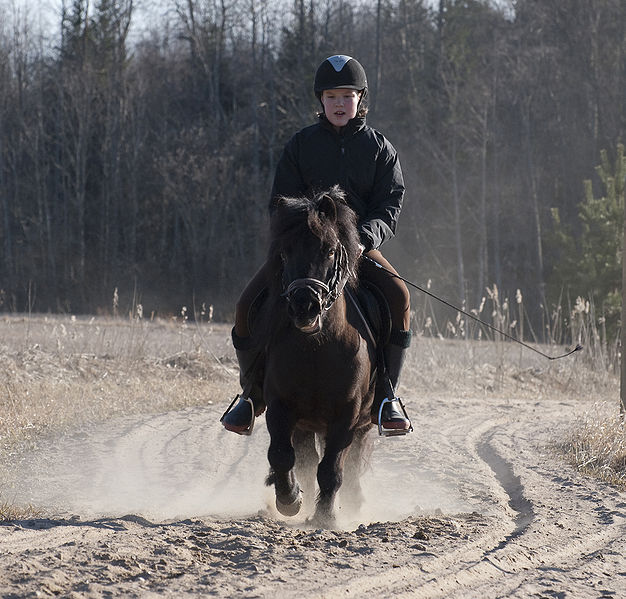 File:Dusty Trail.jpg