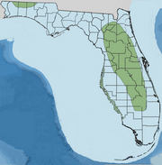 Oligocene Orange Island with Hillsborough Lagoon System on the west and Caloosahatchee Lagoon System on the east. Early Miocene Florida-Rupelian.png