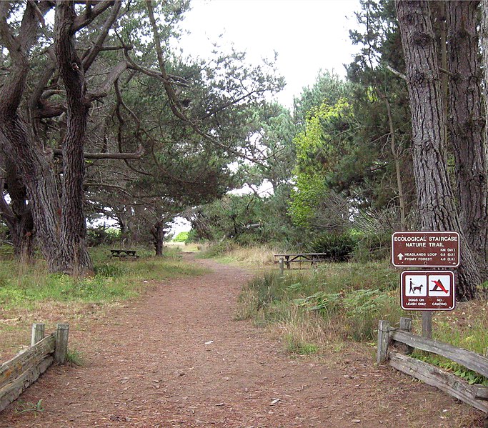 File:Ecological Staircase trail.jpg