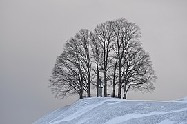 20.2.15 Einsiedeln