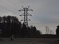 Electricity pylons 110 kV Likino-Dulyovo RU 2015.jpg