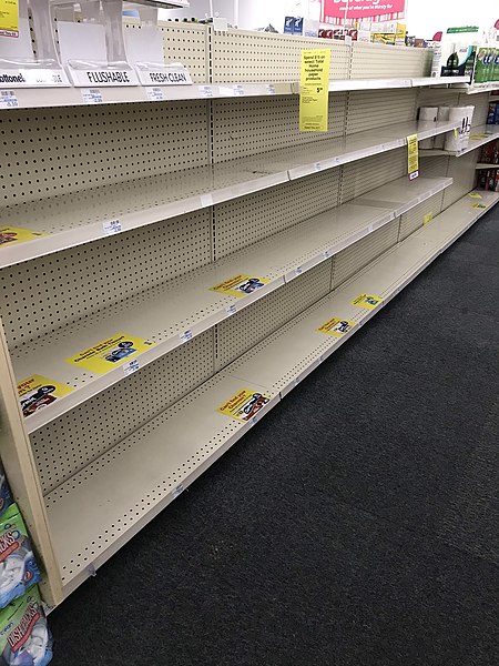 File:Empty paper towel shelves, CVS, Valdosta.jpg