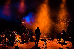 اریک ویس آتمن در روز جهانی جاز ۲۰۱۵
