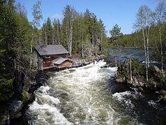 FI-Oulanka NP1.jpg