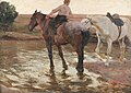 Лошади, 1904