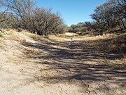 Fairbank-San Pedro River.jpg