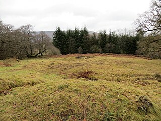 <span class="mw-page-title-main">Ardnadam Farm</span>