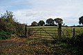 Field off Coneyburrow Lane, Cooden, East Sussex - geograph.org.uk - 1020659.jpg