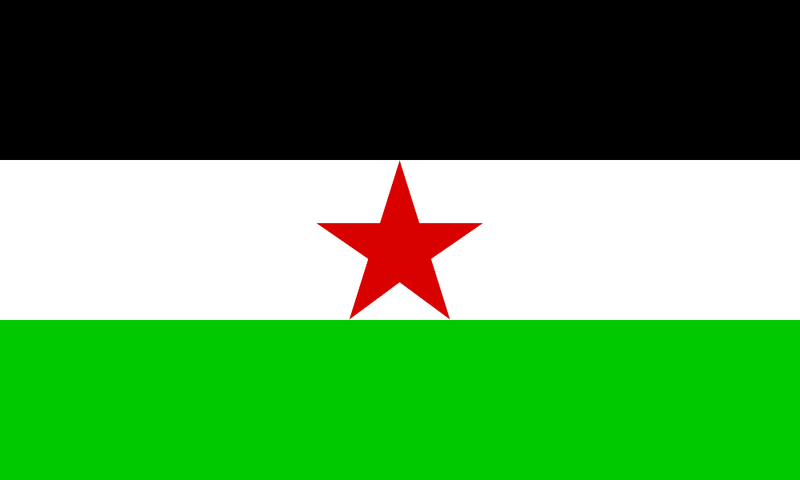 File:Flag of Democratic Banu Hashim.PNG