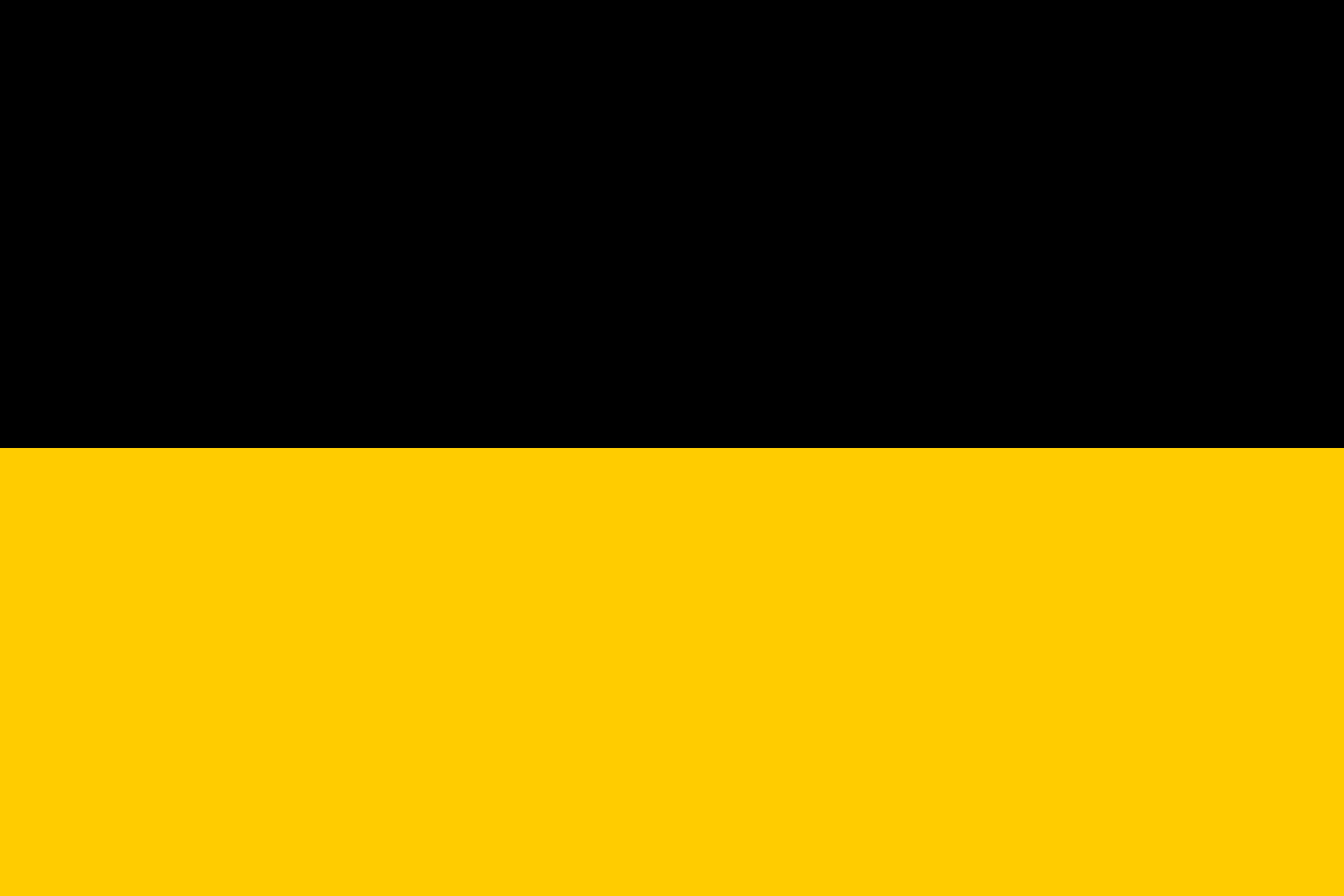 Playa bandera amarilla con raya negra