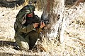 Flickr - Forças de Defesa de Israel - 13º Batalhão da Brigada Golani realiza exercício nas Colinas de Golan (14) .jpg