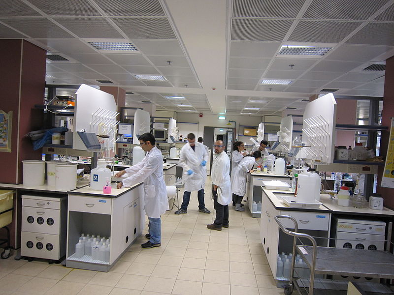 File:Flickr - Technion - Israel Istitute of Technology - IMG 0975.jpg