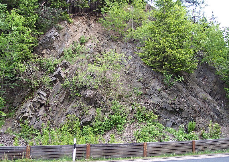 File:Fold in proximal flysch.jpg