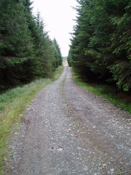 File:Forest Road leading to Regland Loch. - geograph.org.uk - 517057.jpg