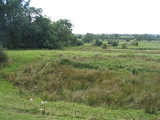 <span class="mw-page-title-main">Frisby Marsh</span>