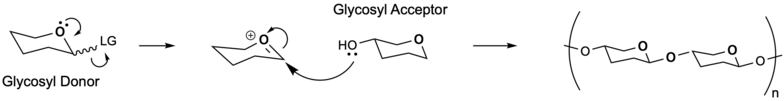 Simplified mechanism of glycosylation Generalized glycosylation.png