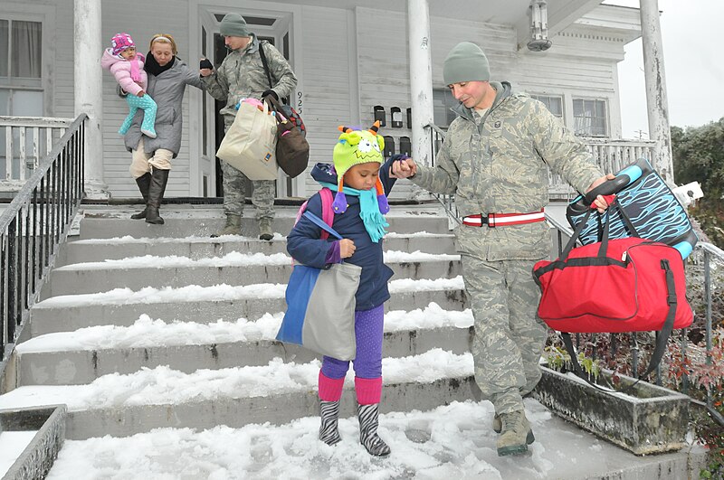 File:Georgia National Guard (37165076243).jpg