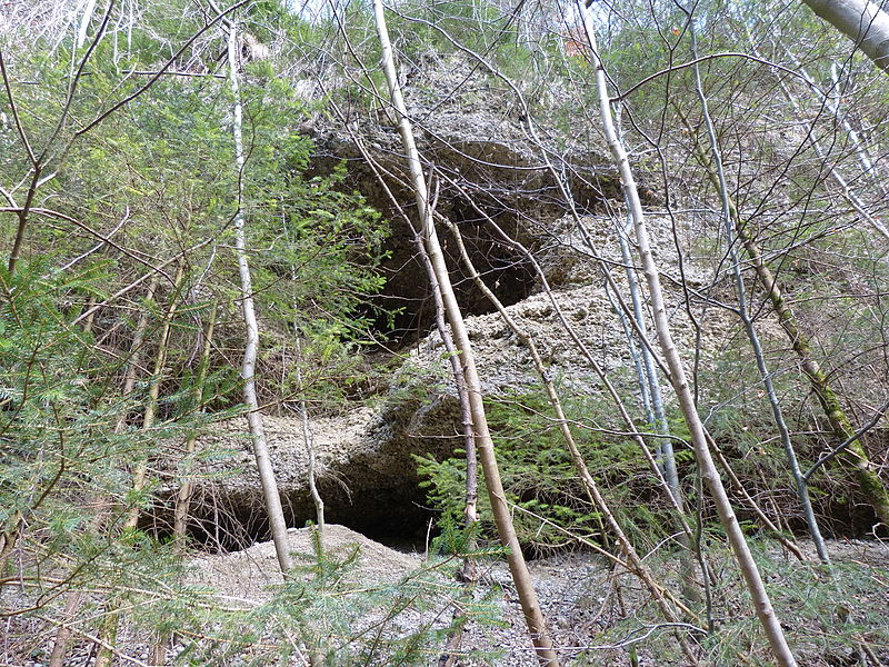 File:Geotop Nagelfluh-Aufschluss W von Bad Grönenbach 11.JPG