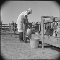 Gila River Relocation Center, Rivers, Arizona