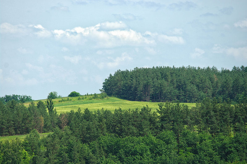 File:Gorodysczensky reserve.jpg