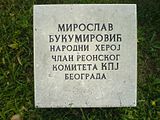 Гроб Мирослава Букумировић