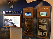 Nature center exhibit Hammonasset Beach State Park - Meigs Point Nature Center 02.jpg