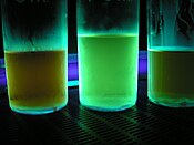 Harmaline and harmine fluoresce under ultraviolet light. These three extractions indicate that the middle one has a higher concentration of the two compounds. Harmaline Harmine.jpg